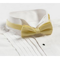 Yellow Banded Bow Tie